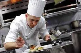 PROFESIONAL ACADEMY- CURS BUCATAR - Imaginea 1
