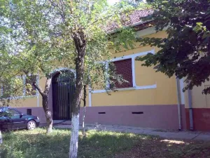 Casa mare pentru 2 familii