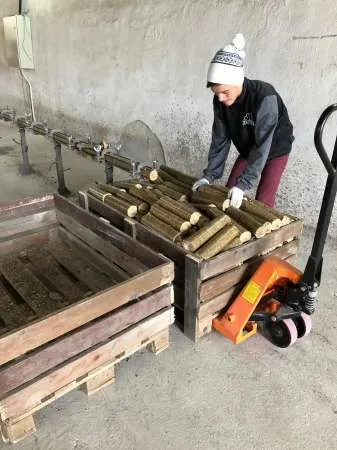 Comercializam brichete din resturile vegetale energo brichete peleti - Imaginea 3
