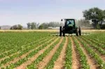 Agricultura - Germania - Miniatura 1