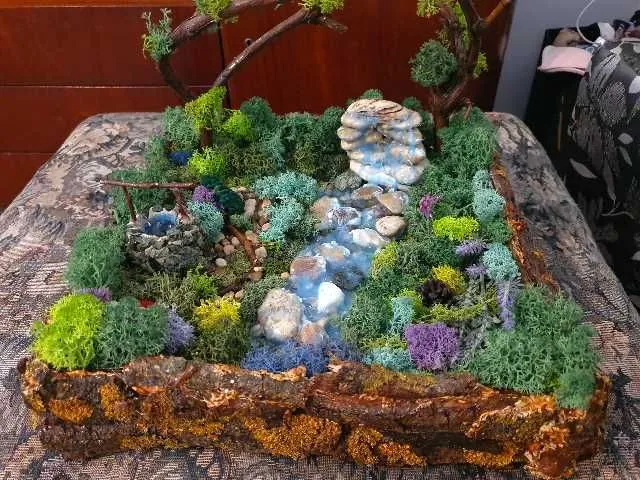 minigradina cu licheni - Imaginea 1