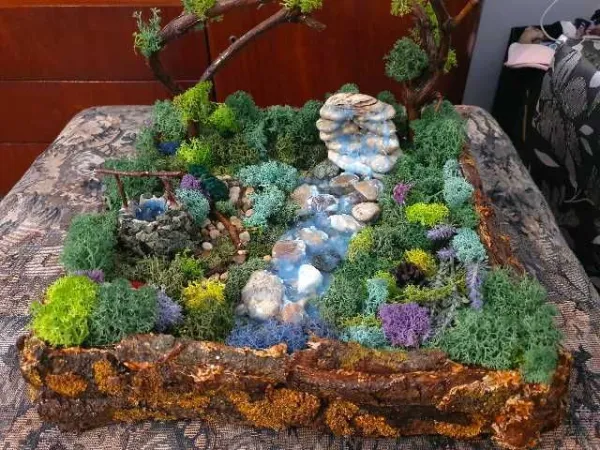 minigradina cu licheni - Imaginea 1