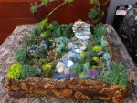 minigradina cu licheni - Miniatura 1