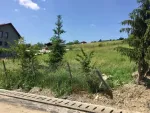 Teren Intravilan Corunca 20 Ari - Miniatura 3