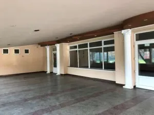 Dau in chirie spatiu comercial - RESTAURANT + terasa ULTRACENTRAL CAREI