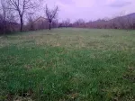 Livada linistita 3000mp BANESTI PRAHOVA ( construibil, 2 iesiri, intravilan, utilitati) - Miniatura 1