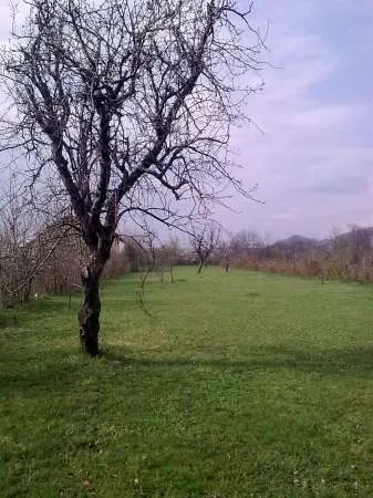 Livada linistita 3000mp BANESTI PRAHOVA ( construibil, 2 iesiri, intravilan, utilitati) - Imaginea 2