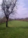 Livada linistita 3000mp BANESTI PRAHOVA ( construibil, 2 iesiri, intravilan, utilitati) - Miniatura 2
