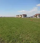 Teren intravilan, 20 ari com. Satu-Mare - Miniatura 2