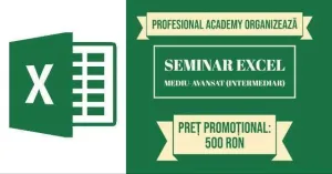 Profesional Academy- Seminar Excel Mediu Avansat