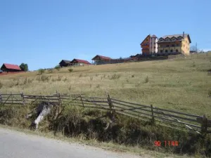 vanzare