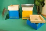 Fanalbine ofera stupi de albine( rame, lazi, miere, albine, matci, podisor) - Miniatura 5