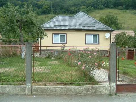 Vand casa , curte, gradina - Imaginea 1