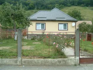 Vand casa , curte, gradina