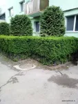 De vanzare apartament cu 3 camere - Miniatura 10