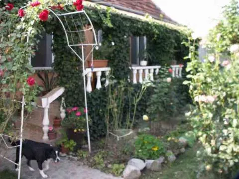 Casa de vanzare,Alesd(Pestis)jud.Bihor - Imaginea 1