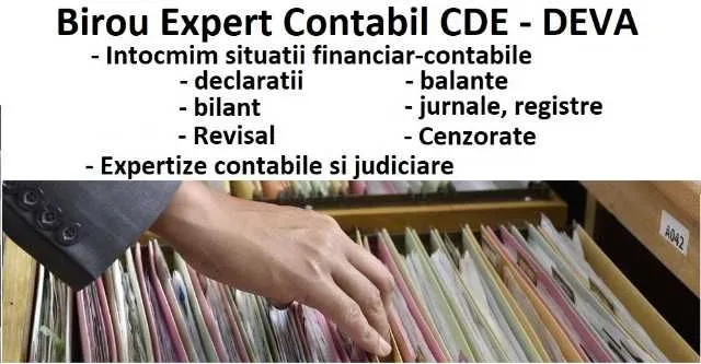 EXPERT CONTABIL/ JUDICIAR, RESURSE UMANE - Imaginea 1