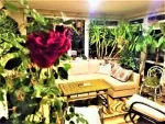 REVELION HOTEL HOUSE BRAN - Miniatura 2
