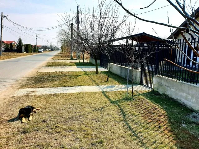 VILA 5 Camere, Cornetu, Ilfov - Imaginea 7