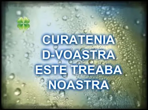curatenie Dr.Tr.Severin - Imaginea 1