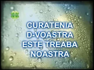 curatenie Dr.Tr.Severin