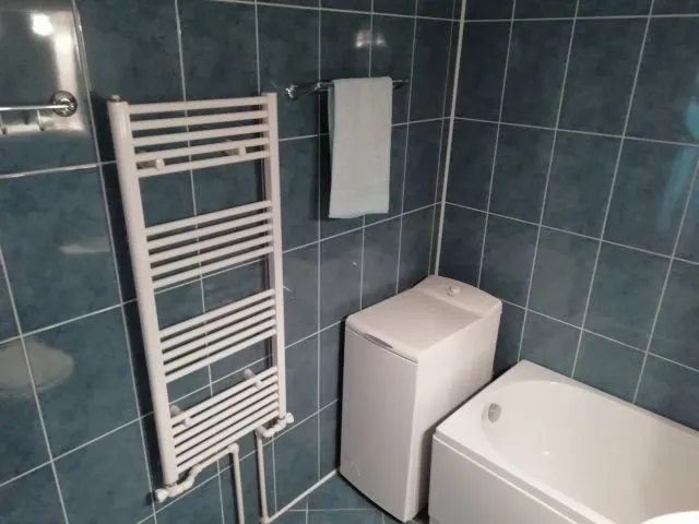 proprietar apartament 2 camere decomandate, 55m, Roman Musat- Favorit - Imaginea 3