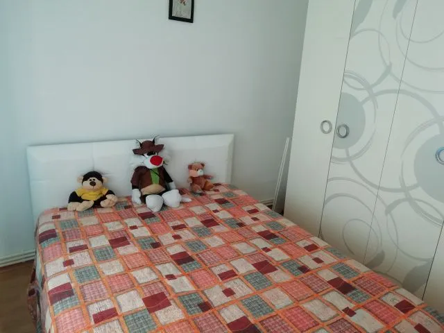 proprietar apartament 2 camere decomandate, 55m, Roman Musat- Favorit - Imaginea 5