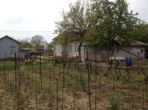 Casa si teren 744 mp Zimnicea, central - piata - Imaginea 6