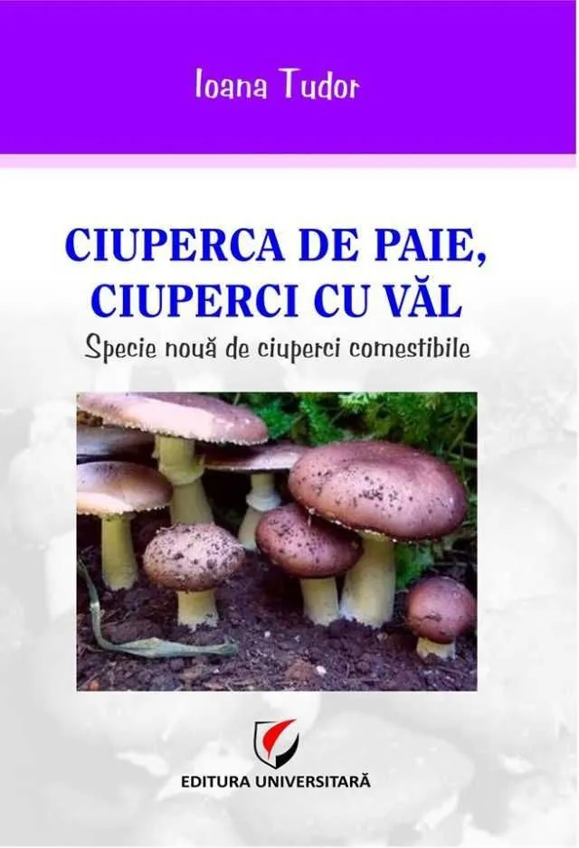 Curs de ciupercar acreditat - Imaginea 4