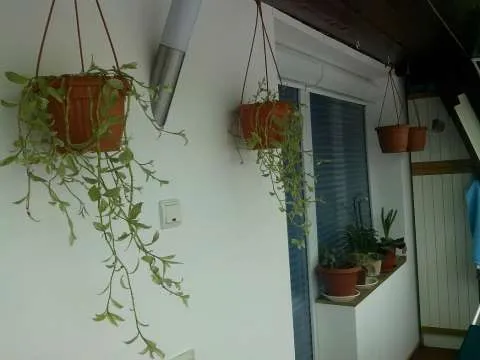 Apartament 3 camere 2 bai - Imaginea 8