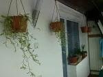 Apartament 3 camere 2 bai - Miniatura 8