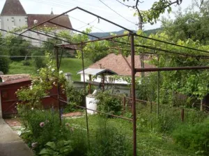 Casa 3 camere BAZNA