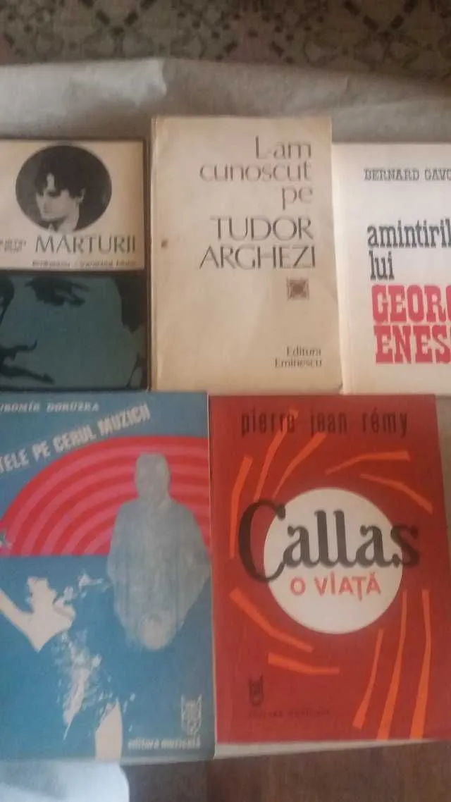 Carti tematica istorie, literatura rusa, biografii, beletristica universala - Imaginea 5