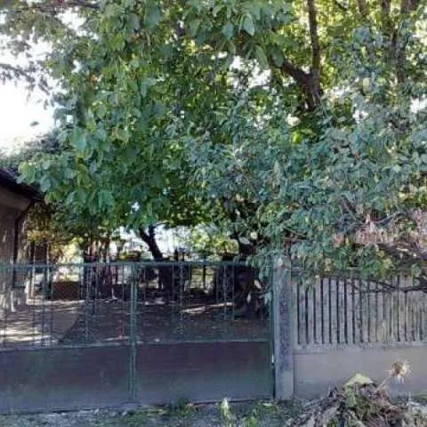 Casa Zimnicea - Imaginea 6