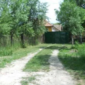 Vand casa in Lugoj