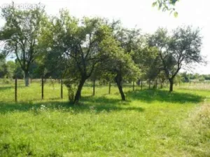 Teren intravilan pt casa de vacanta Recea (aproape de Muntii Fagaras)