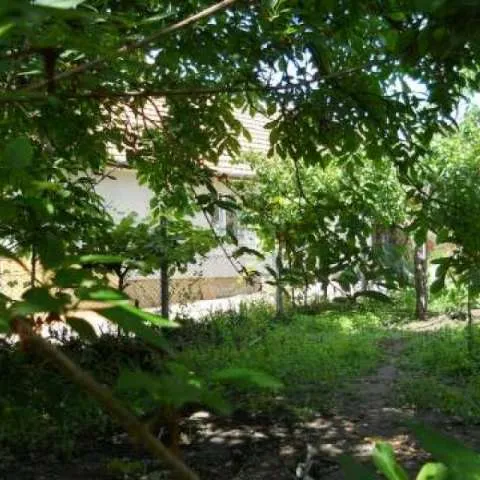 Vand casa in Lugoj - Imaginea 2