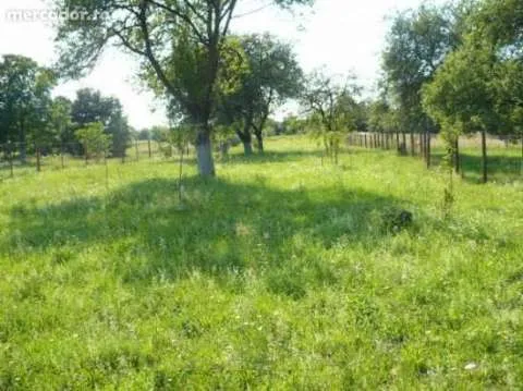 Teren intravilan pt casa de vacanta Recea (aproape de Muntii Fagaras) - Imaginea 3