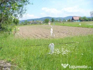 Teren, sighetu marmatiei, judetul maramures