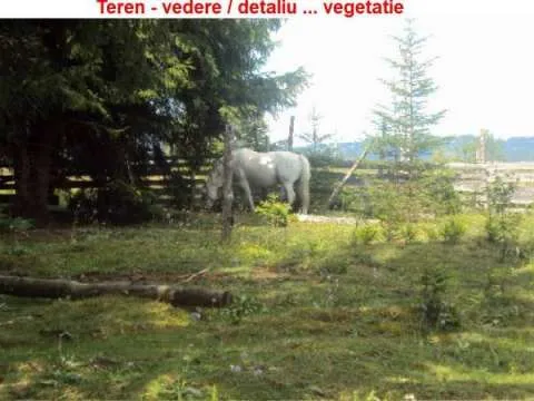 Vand Teren - Vatra Dornei-Neagra Sarului- Suprafata 1500 -3000- 6500 mp - Imaginea 5