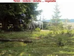 Vand Teren - Vatra Dornei-Neagra Sarului- Suprafata 1500 -3000- 6500 mp - Miniatura 5