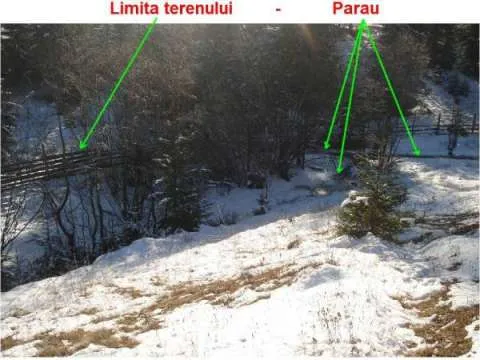 Vand Teren - Vatra Dornei-Neagra Sarului- Suprafata 1500 -3000- 6500 mp - Imaginea 9