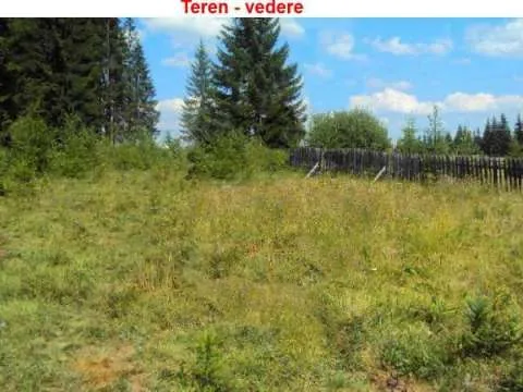 Vand Teren - Vatra Dornei-Neagra Sarului- Suprafata 1500 -3000- 6500 mp - Imaginea 10