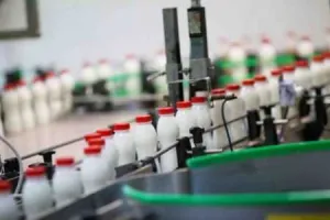 fabrica de lactate germania - nehoiu