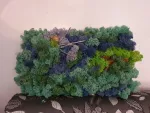 aranjament cu licheni - Miniatura 1