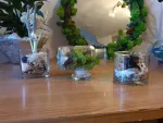 aranjament cu licheni in sticla - Miniatura 3