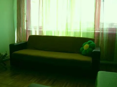 ap 2 camere, decomandat, zona Kaufland, pret negociabil - Imaginea 5