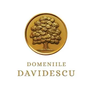 DOMENIILE DAVIDESCU