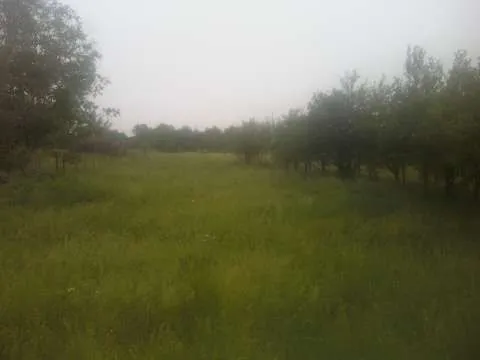 casa cu gradina la Monor - Imaginea 2
