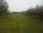casa cu gradina la Monor - Miniatura 2